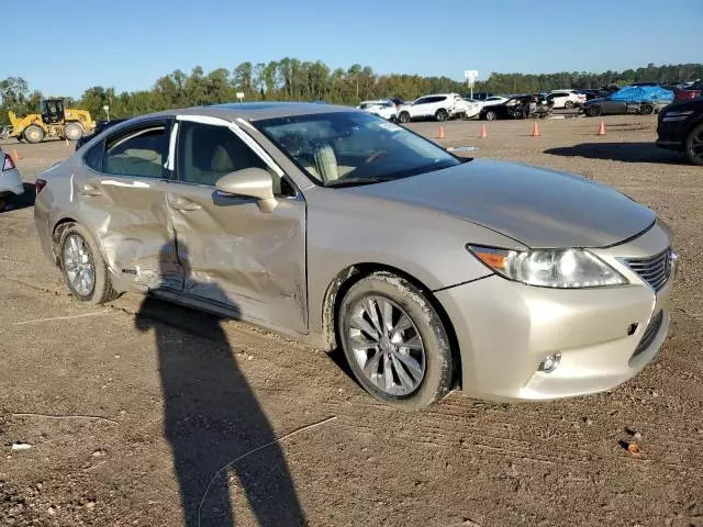 2013 Lexus ES 300H