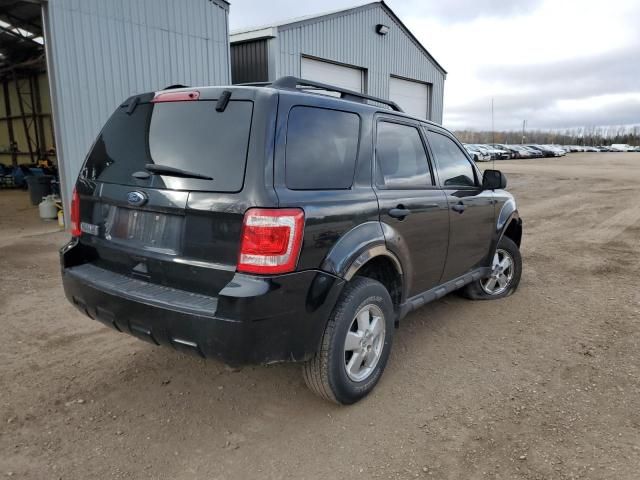 2011 Ford Escape XLT