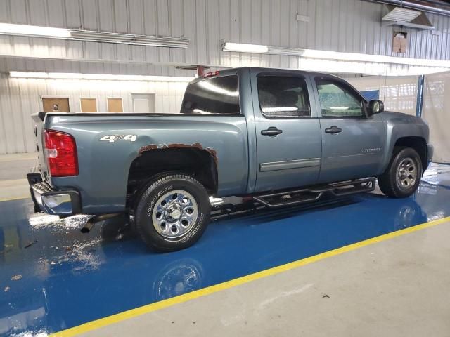 2010 Chevrolet Silverado K1500 LS