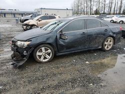 Toyota salvage cars for sale: 2013 Toyota Camry L