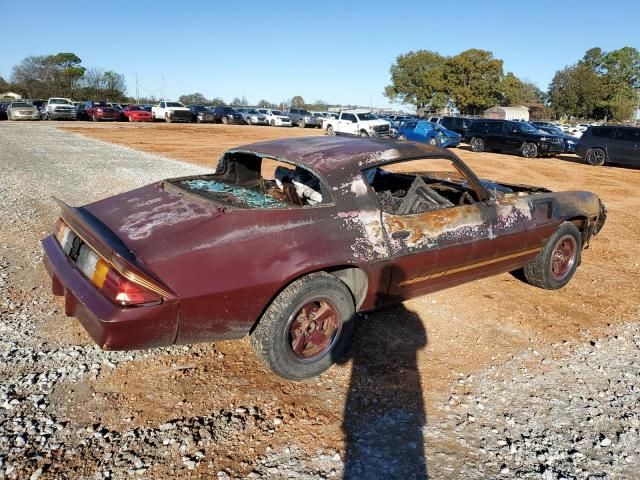 1981 Chevrolet Camaro