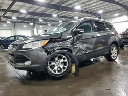 Salvage cars for sale at Ham Lake, MN auction: 2015 Ford Escape Titanium