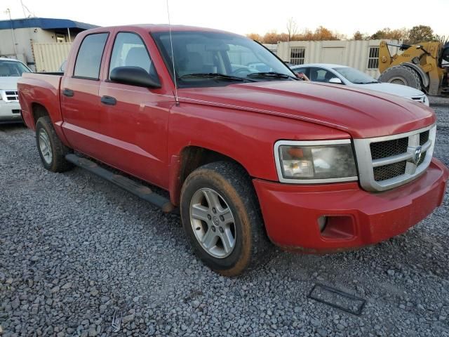 2011 Dodge Dakota SLT