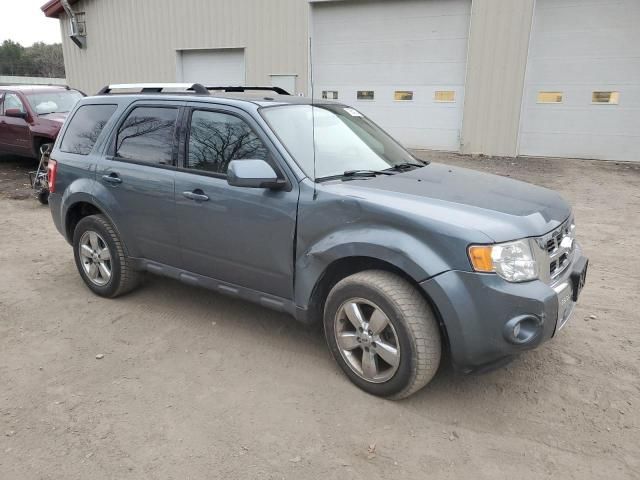 2010 Ford Escape Limited