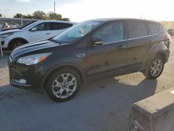 Ford Vehiculos salvage en venta: 2013 Ford Escape SEL