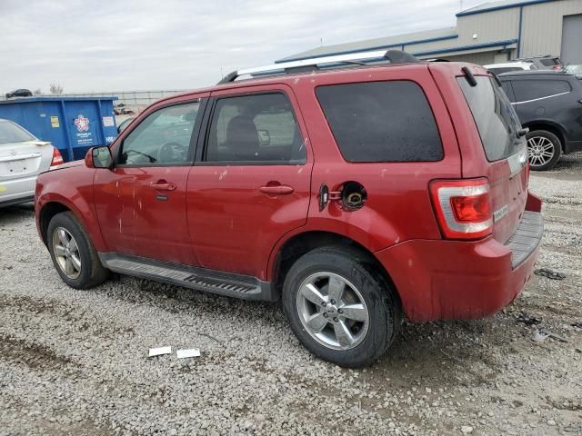 2011 Ford Escape Limited