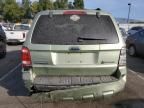 2008 Ford Escape HEV