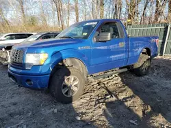 Salvage trucks for sale at Candia, NH auction: 2014 Ford F150