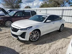 Salvage cars for sale at Arcadia, FL auction: 2020 Cadillac CT5 Sport