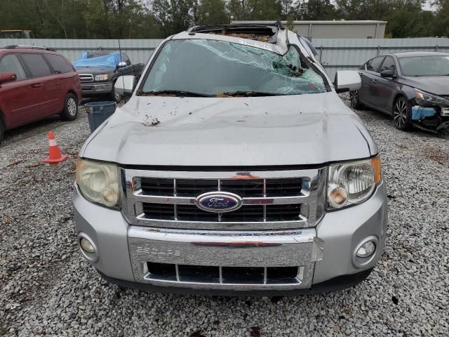 2011 Ford Escape Limited