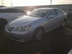 Salvage cars for sale at Elgin, IL auction: 2010 Lexus ES 350