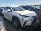 2021 Lexus NX 300H Base