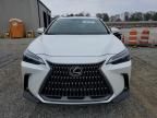 2025 Lexus NX 250 Premium