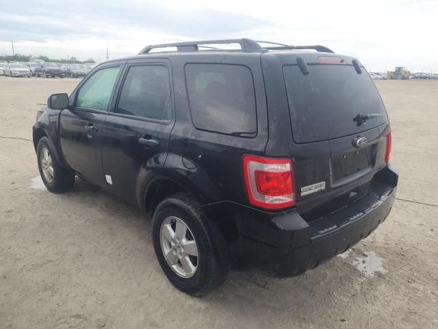 2010 Ford Escape XLT