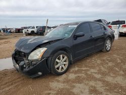 Salvage cars for sale at Amarillo, TX auction: 2005 Nissan Maxima SE