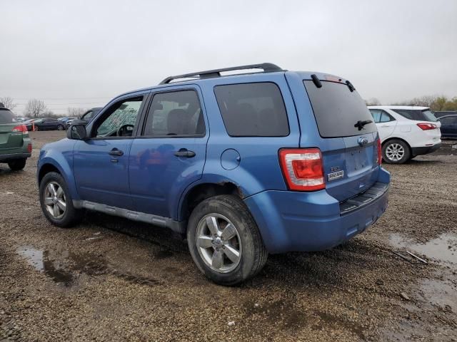 2010 Ford Escape XLT