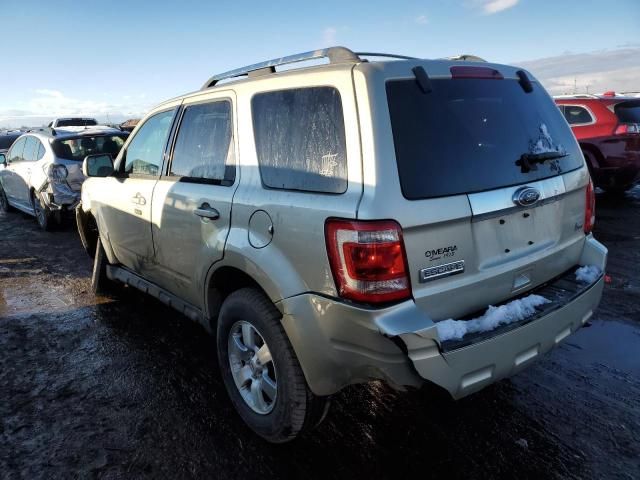 2010 Ford Escape Limited