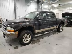 Dodge salvage cars for sale: 2003 Dodge Dakota Quad SLT