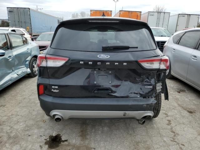 2020 Ford Escape SE Sport