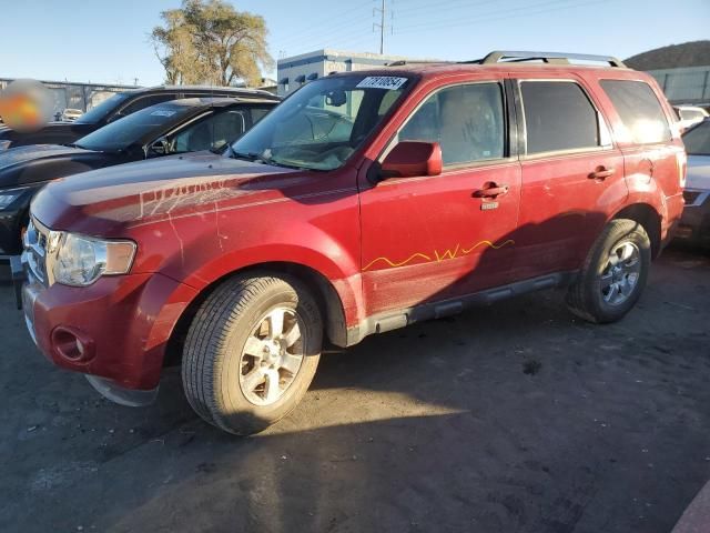 2011 Ford Escape Limited