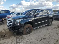 2015 Cadillac Escalade Luxury en venta en Indianapolis, IN