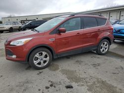 Carros salvage a la venta en subasta: 2016 Ford Escape SE