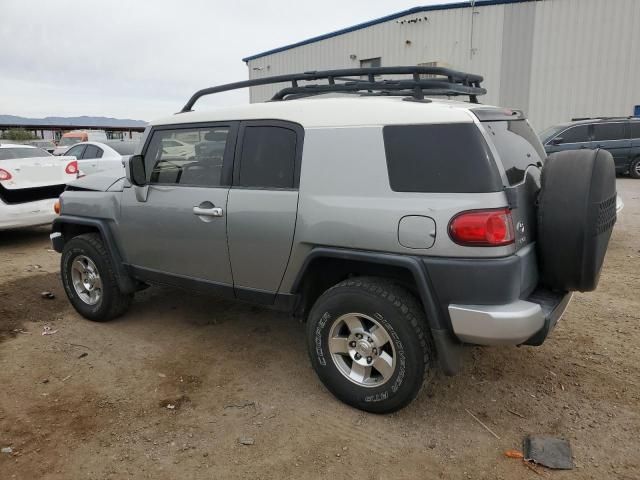 2010 Toyota FJ Cruiser