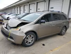 2011 Honda Odyssey EXL en venta en Louisville, KY