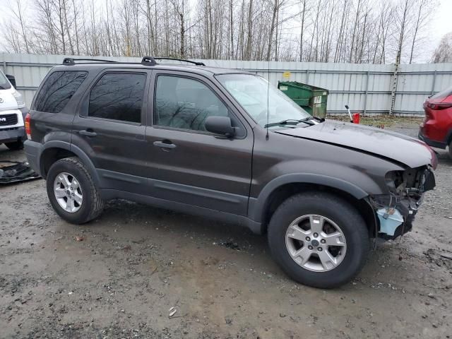 2007 Ford Escape XLT