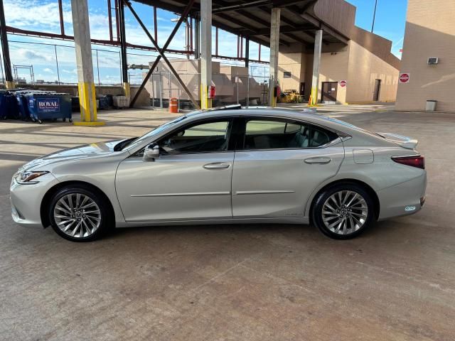 2019 Lexus ES 300H