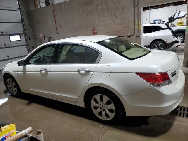 2010 Honda Accord EXL