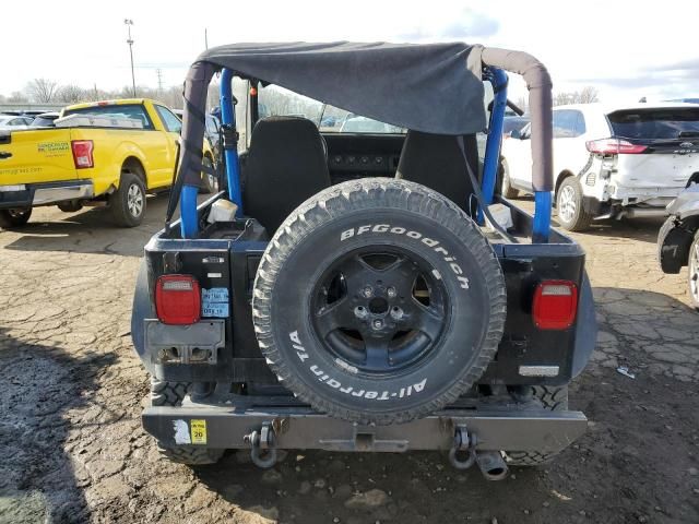 1995 Jeep Wrangler / YJ S