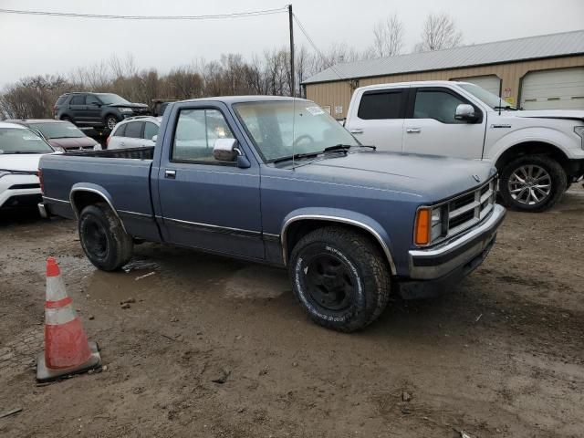 1989 Dodge Dakota