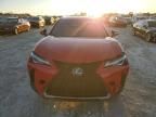 2019 Lexus UX 200