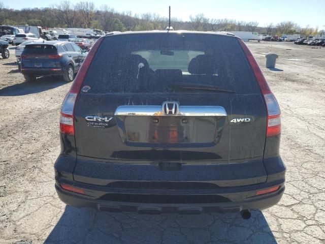 2010 Honda CR-V EXL