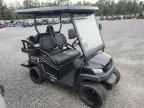 2024 Bintelli Golfcart