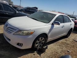 Salvage cars for sale from Copart Tucson, AZ: 2010 Toyota Camry Base