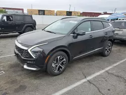 Salvage cars for sale at Van Nuys, CA auction: 2024 KIA Sportage EX