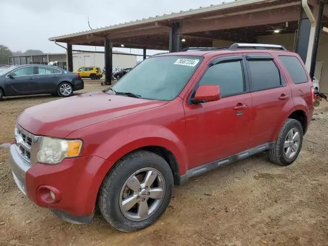 2011 Ford Escape Limited