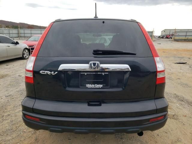 2010 Honda CR-V EXL