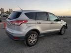 2013 Ford Escape S