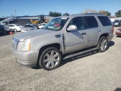 Cadillac Vehiculos salvage en venta: 2008 Cadillac Escalade Luxury