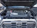 2024 Toyota Tundra Crewmax Platinum