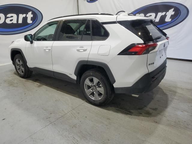 2024 Toyota Rav4 LE