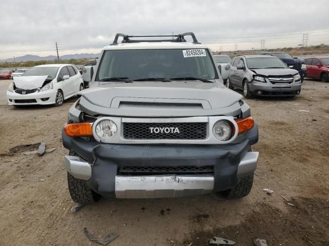 2010 Toyota FJ Cruiser