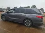 2022 Honda Odyssey EXL