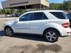 2010 Mercedes-Benz ML 350