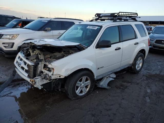 2009 Ford Escape Hybrid