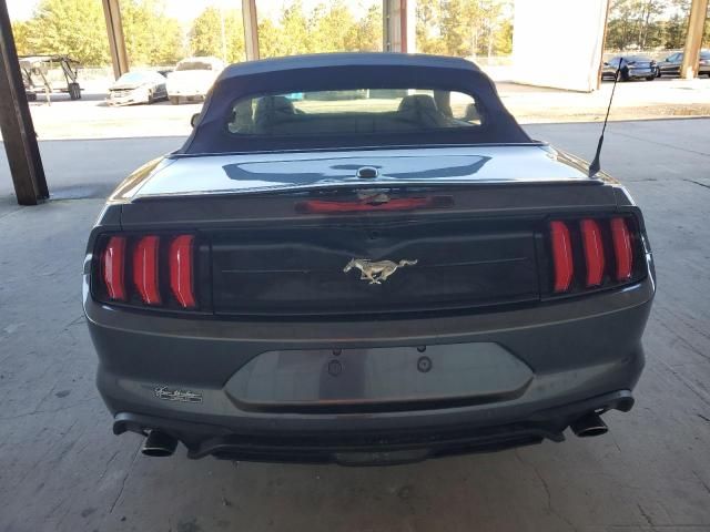 2019 Ford Mustang