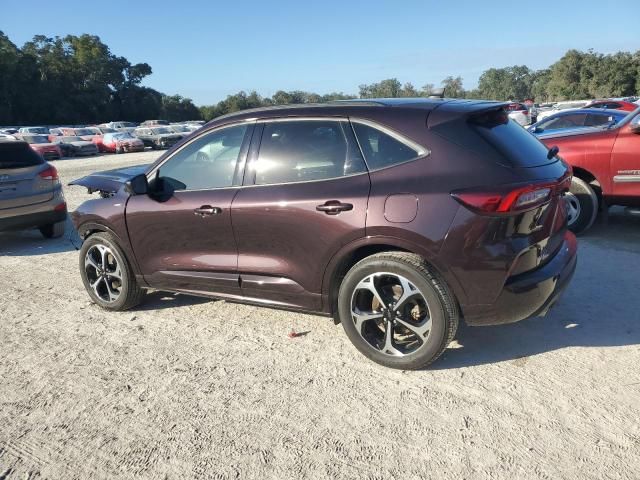 2023 Ford Escape ST Line Elite